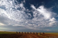Magical Mystery Day in New Mexico