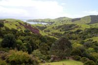 Jízda snů přes poloostrov Coromandel
