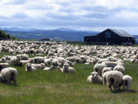Rouťácká výprava vyráží pokořit Nový Zéland. Sledujte on-line!