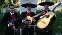 Mariachi Espuelas